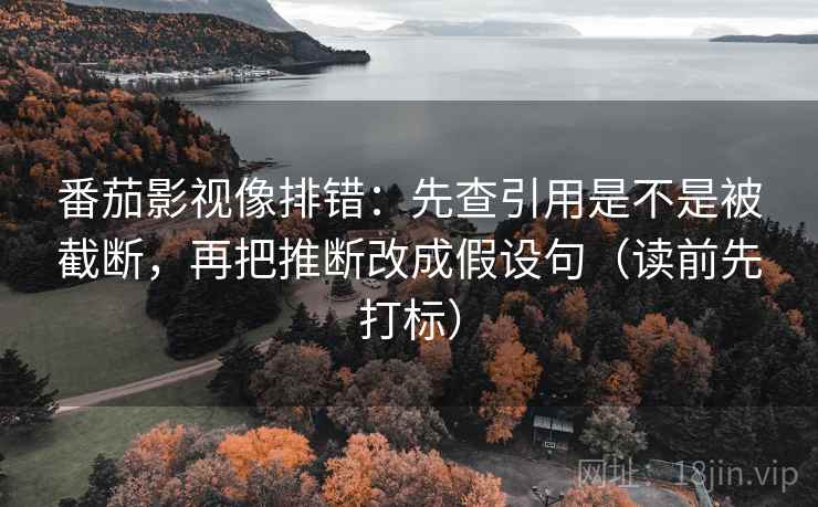 番茄影视像排错：先查引用是不是被截断，再把推断改成假设句（读前先打标）