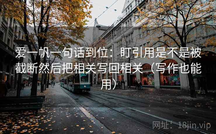 爱一帆一句话到位：盯引用是不是被截断然后把相关写回相关（写作也能用）